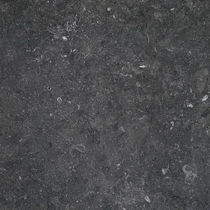 Керамогранит Terratinta Stonevolution Zwart TTSE0211LP 10x10 лаппатированный