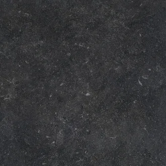 Stonevolution Zwart TTSE0211N