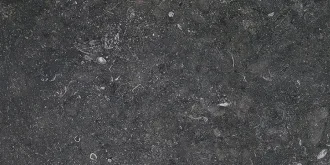 Stonevolution Zwart TTSE0236LP