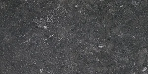 Керамогранит Terratinta Stonevolution Zwart TTSE0236LP 30x60 лаппатированный