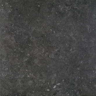 Stonevolution Zwart TTSE0260V