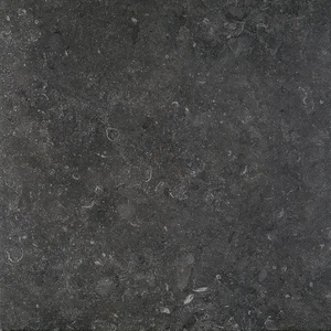 Керамогранит Terratinta Stonevolution Zwart TTSE0260V 61,5x61,5 матовый