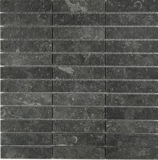 Stonevolution Zwart TTSE02M2LP
