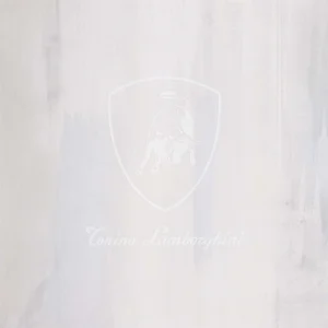 Декоративный элемент Tonino Lamborghini Nurburgring Decoro Logo Laser Grigio TL12NU03AD 120x120 матовый