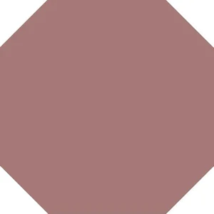 Керамогранит Топ Рус 41913 9,6x9,6 матовый