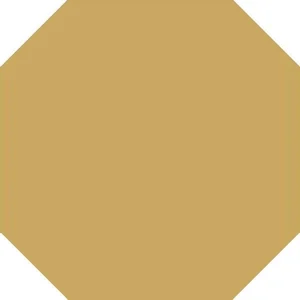Керамогранит Топ Рус 42278 9,6x9,6 матовый