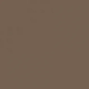 Керамогранит TopCer Coffee Brown 29 L4429-1Ch 10x10 матовый