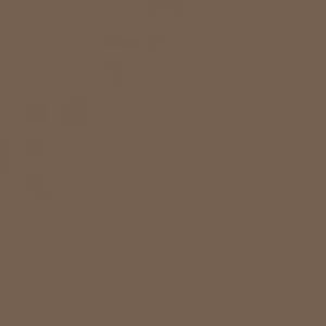Керамогранит TopCer Coffee Brown 29 L4429-1Ch 10x10 матовый