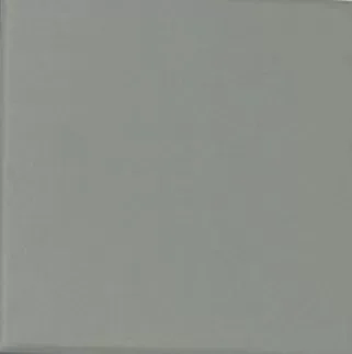 Керамогранит TopCer Field Material Square L4407 10x10 матовый