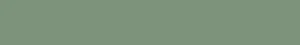 Вставка TopCer Victorian Designs Light Green 5STP28/1C 2,1x13,7 матовая