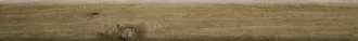 Treverkhome Olmo Battiscopa ML2S