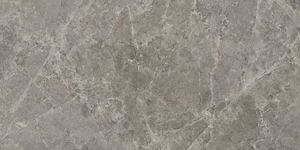 Керамогранит Panaria Trilogy Sandy Grey Lux PLS PZ9TYX3 50x100 полированный
