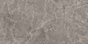 Керамогранит Panaria Trilogy Sandy Grey Soft PLS PZ9TYS3 50x100 матовый
