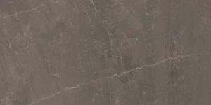Керамогранит Panaria Trilogy Sky Smoke Soft PLS PZ9TYS4 50x100 матовый