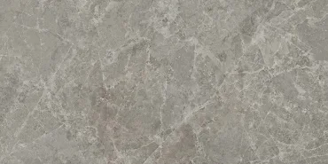 Керамогранит Panaria Trilogy Sandy Grey Lux PGXTY30 58x116 полированный