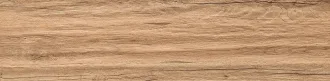 Aspen Brown STR