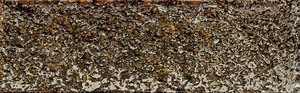 Декоративный элемент Tubadzin D-Goldgreen Mix 7,2x22 глянцевый