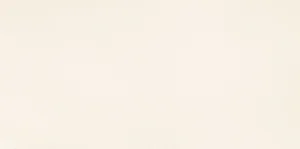 Плитка Tubadzin Grafite White 22,3x44,8 матовая