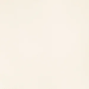 Керамогранит Tubadzin Grafite White 45x45 матовый