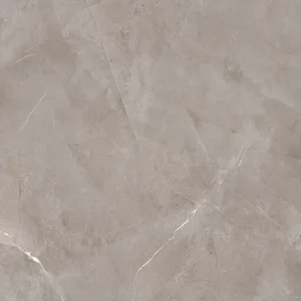 Harmonic Grey Pol
