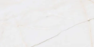 Керамогранит Undefasa Essenza PW R 60x120 матовый