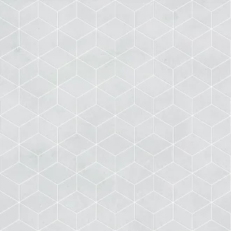 Веста Светлая 010400000858