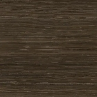 Mocca Brown Polished (6mm) C221101801