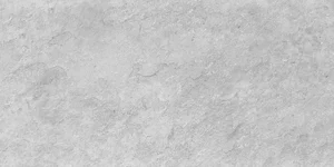 Керамогранит Usak Seramik 6012047 Bologna Silver матовый 60x120