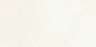 Segni Gesso 6000496