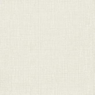Segni Gesso Tessuto 6000500
