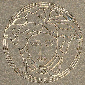 Вставка Versace Vanitas Tozzetto Medusa Silver 37321 3,2x3,2 матовая