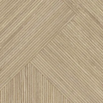 Tanzania Almond Noa L