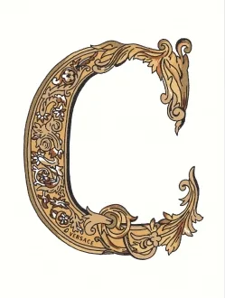 Alphabet Lettera Bianca C 48942