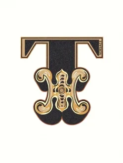 Alphabet Lettera Bianca T 48959