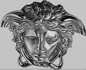 Вставка Versace Emote Medusa Acciaio 262773 3,8x4,8 полированная