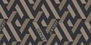 Керамогранит Versace Icons Gremax Kaki Ret PF60011021 60x120 матовый