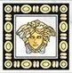 Вставка Versace Maximvs Tozz Dec 63155 8x8 полированная
