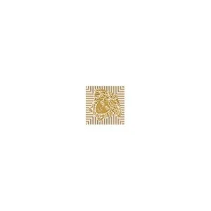 Meteorite Toz.Medusa Lap Miel/Oro 47315