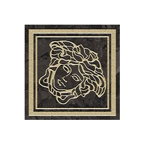 Вставка Versace Meteorite Toz.Medusa Lap Nero/Oro 47290 9,8x9,8 лаппатированная