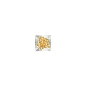 Meteorite Toz.Medusa Nat Bian/Oro 47142