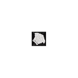 Вставка Versace Meteorite Toz.Medusa Nat Nero/Plat 47141 2,7x2,7 натуральная