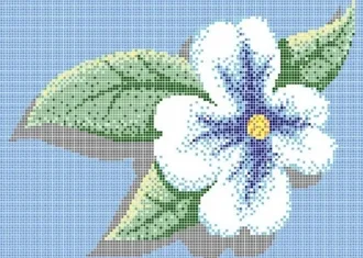 Flor Lila