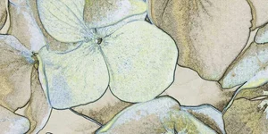 Декоративный элемент Villeroy Boch Rockyart Decor Limelight 2730CB65 60x120 натуральный