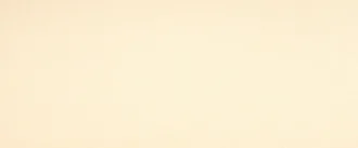 Vision Rev. Beige
