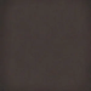 Керамогранит Vives 1900 Chocolate 20x20 матовый