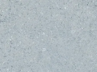 Kamala-R Gris