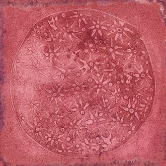 Luca Carlo Granate-B