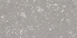 Керамогранит Vives Luna-R Gris 60x120 матовый