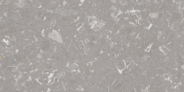 Керамогранит Vives Luna-R Gris Pulido 60x120 полированный