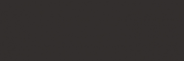 Плитка Vives Satinados Negro Mate 25x75 матовая